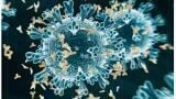 First Monoclonal Antibody Against SARS-CoV-2 Nucleocapsid Protein Launched