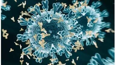 First Monoclonal Antibody Against SARS-CoV-2 Nucleocapsid Protein Launched