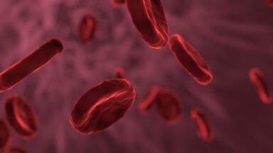 Who Won the 2020 Nobel Prize in Physiology or Medicine?