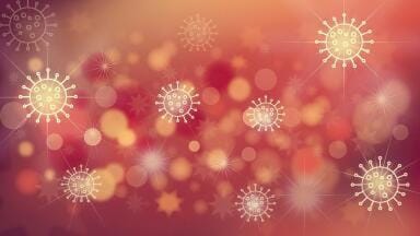 How Many Strains of SARS-CoV-2 Exist?