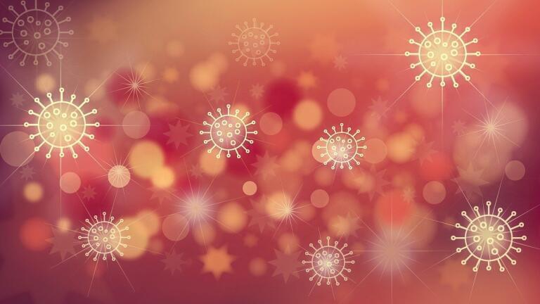 How Many Strains of SARS-CoV-2 Exist?