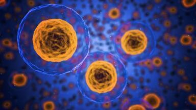4 Diseases Prevented by Vaccines