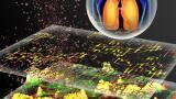 Predicting Nanoparticle Toxicity using Animal-free Method