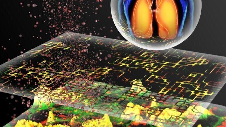 Predicting Nanoparticle Toxicity using Animal-free Method