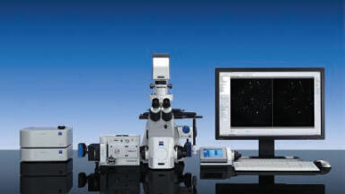 Fast Image Capturing Combined with Fast Confocal Microscopy