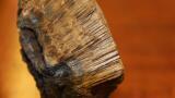 International Project reveals Structures of Arsenic Compounds