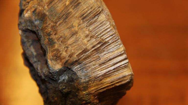 International Project reveals Structures of Arsenic Compounds