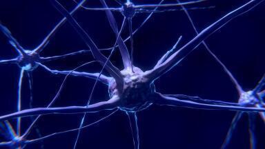 Does COVID-19 Affect the Brain?