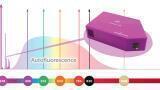 Compact UV Raman Spectrometer Introduced