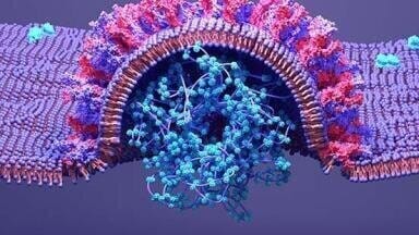 Mutant Spike Proteins and Antigens for SARS-CoV-2 Variant Research