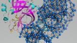 Modelling Highlights Vulnerable Sites on SARS-Cov-2 Protein