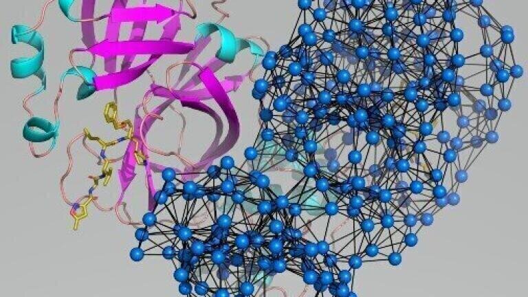 Modelling Highlights Vulnerable Sites on SARS-Cov-2 Protein