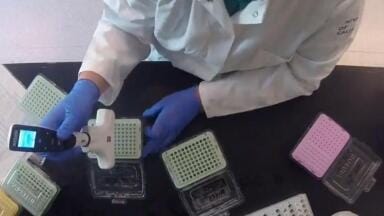 Versatile Pipettes Help to Advance Evolution and Ecology Studies