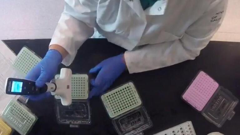 Versatile Pipettes Help to Advance Evolution and Ecology Studies