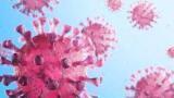 World Renowned Affinity-Purified Anti-HIV-1 gp120 Antibody Relaunched