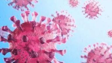World Renowned Affinity-Purified Anti-HIV-1 gp120 Antibody Relaunched