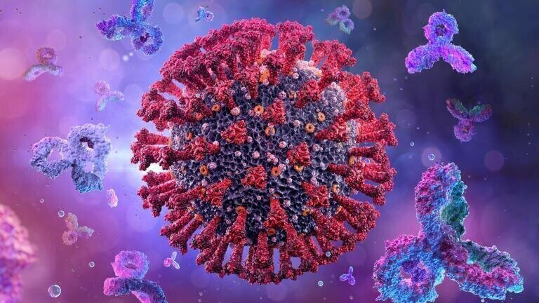 Beckman Coulter has announced that it has expanded claims for its CE-marked Access Interleukin-6 (IL-6) assay. 