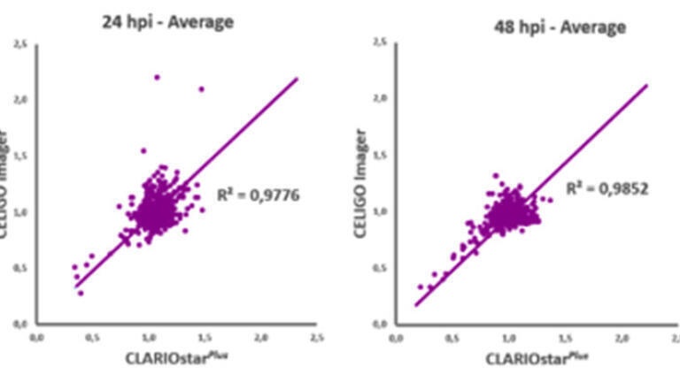 Data produced from a drug repurposing screen shows the detection of fluorescently encoded virus in the presence of drug at 24 and 48 hrs.
