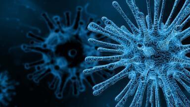 Nanovaccine Study Achieves High Immune Response