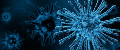 Nanovaccine Study Achieves High Immune Response