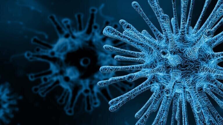 Nanovaccine Study Achieves High Immune Response