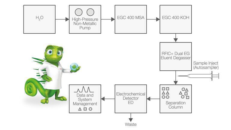 Simplify the Complexity in Carbohydrate Analysis