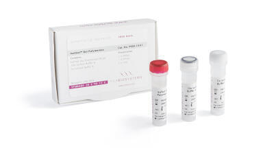 PCR Biosystems launches advanced Bst Polymerase reagents