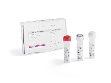 PCR Biosystems launches advanced Bst Polymerase reagents