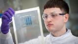Yeast Production Projects Receive Sustainable Funding Grants