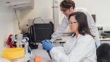 Scheme highlights Importance of Innovation for Growth