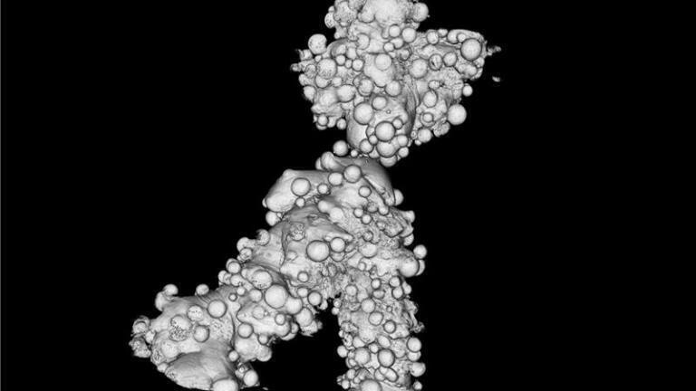 3D tomographic image showing a single strut of an un-edged stent. The stent is produced by additive powder manufacturing methods, leaving it with a lumpy surface as seen in the image. The final surface finish will only be achieved after an edging step to remove the rough surface (credit: Diamond Light Source)
