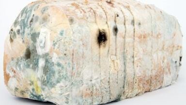 5 of the Biggest Drug Discoveries