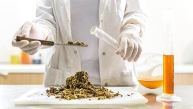 What Technology Is Used in Food Analysis?