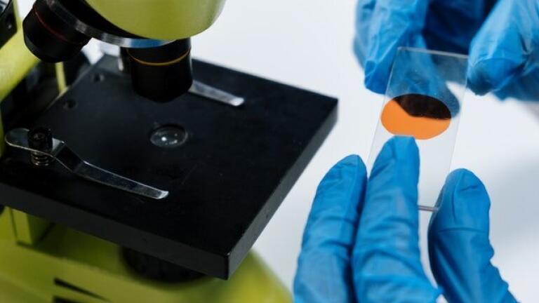 How Are Proteins Characterised?