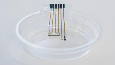 New Technology Leads to Smart Petri Dish Development