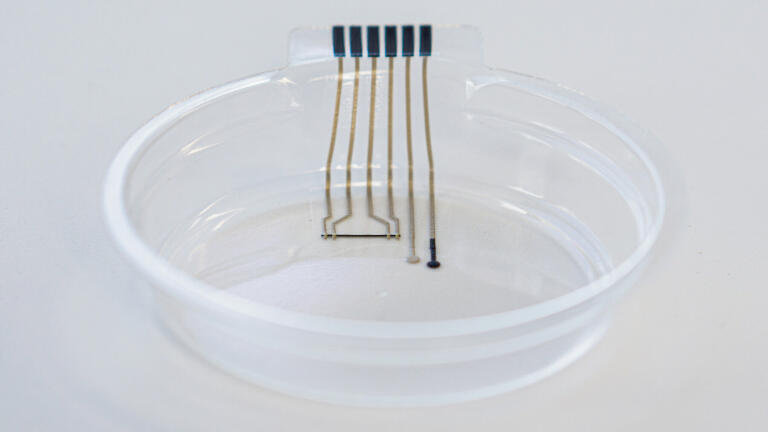 New Technology Leads to Smart Petri Dish Development