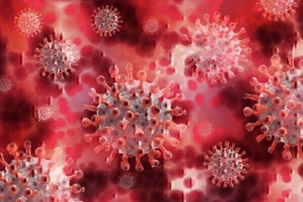 Isolation Technique Could be Key for COVID Drug Discovery - Vimarsana News