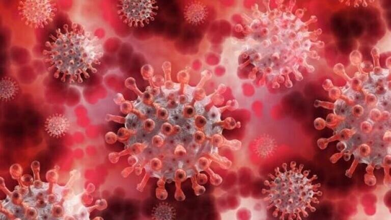 Isolation Technique Could be Key for COVID Drug Discovery
