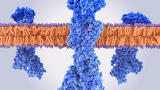 Therapeutic Pipeline Investment aims to Reduce Developmental Risk