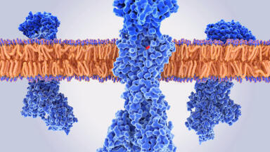 Therapeutic Pipeline Investment aims to Reduce Developmental Risk