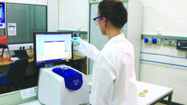 Optimising Seed Oil Yield by In-process Testing