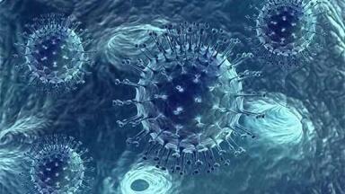 How Important are AAV Reference Materials in Gene Therapy?
