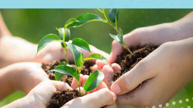 Biopharma Group Sponsors Non-profit ‘Project Green’ Initiative at Local Community Centre