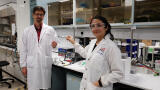 NTU Singapore Scientists Develop System to Deliver Electrically-activated Glue for Sealing Defects in Broken Blood Vessels