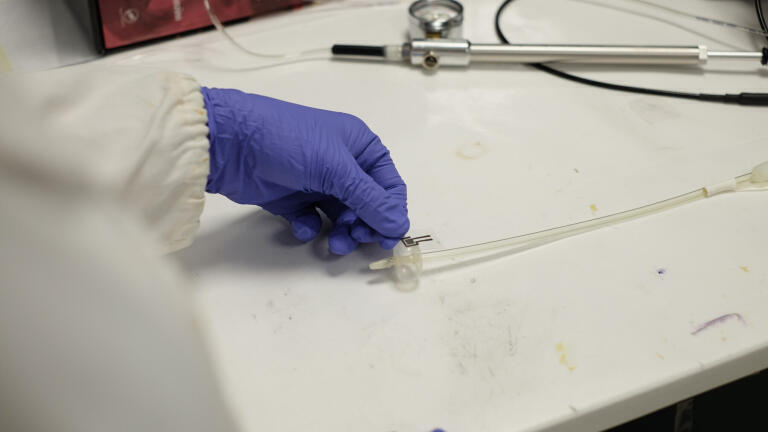 A patch of Voltaglue is attached to the catheter's balloon, where it will inflate in a broken blood vessel to seal up the hole. Credit NTU Singapore