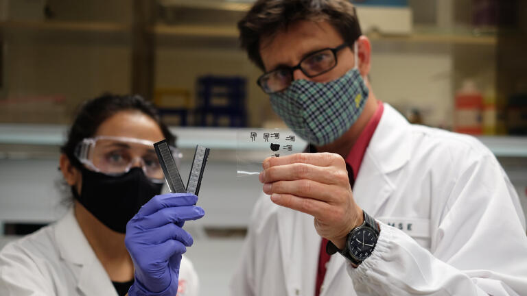 (from L-R) Former NTU PhD student Dr Manisha Singh, now at the Massachusetts Institute of Technology (MIT) and Associate Professor Terry Steele from the NTU School of Materials Science and Engineering hold up different patches of Voltaglue. Credit NTU Singapore