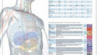 Histological Stains at a Glance
