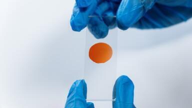How Are Proteins Analysed?