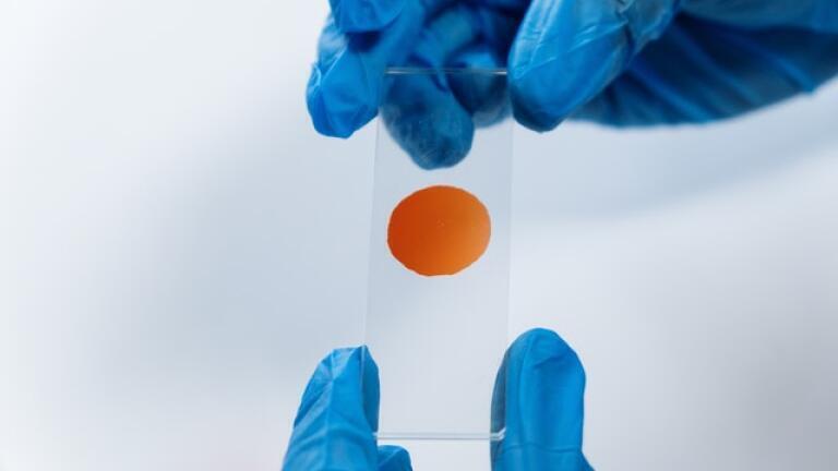 How Are Proteins Analysed?
