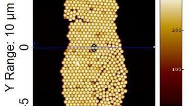 Which Particle Size Standards Comply with International Regulations?